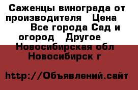 Саженцы винограда от производителя › Цена ­ 800 - Все города Сад и огород » Другое   . Новосибирская обл.,Новосибирск г.